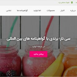 نمای صفحه اصلی سایت شرکت سینار