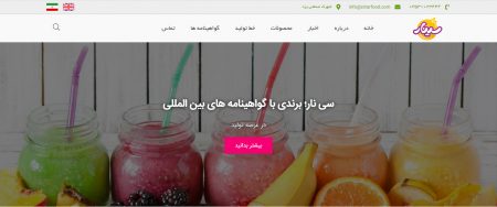 نمای صفحه اصلی سایت شرکت سینار