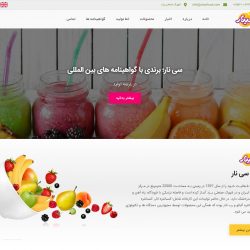 نمای صفحه اصلی سایت شرکت سینار