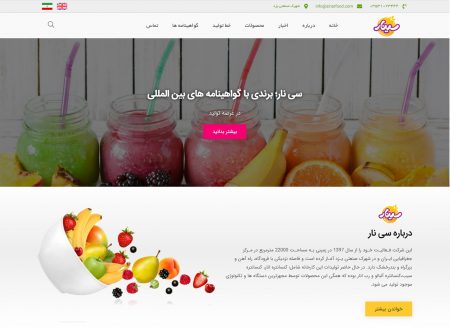 نمای صفحه اصلی سایت شرکت سینار